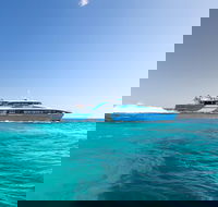 Rottnest Island Bike Snorkel  Ferry Package from Fremantle - Taree Accommodation