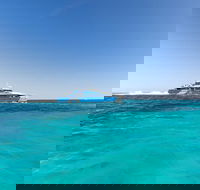 Rottnest Island Fortress Adventure Segway Package from Fremantle - Taree Accommodation