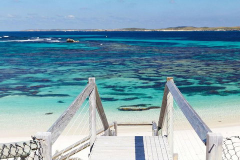 Rottnest Island Settlement Explorer Segway Package From Perth - Taree Accommodation 4