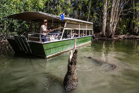 Hartley's Crocodile Adventures Day Trip From Palm Cove - Taree Accommodation 2