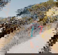 Self-Guided Point Nepean National Park Bike Hire - Taree Accommodation