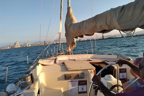 Townsville Small Group Early Morning Sailing Cruise Boat Tour Charter Hire - Taree Accommodation 3