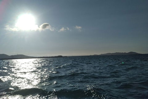 Townsville Small Group Early Morning Sailing Cruise Boat Tour Charter Hire - Taree Accommodation 4