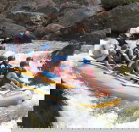 Barron River Half-Day White Water Rafting from Cairns - Taree Accommodation