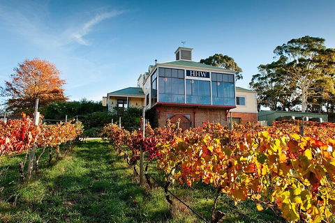 Adelaide Hills Food, Wine, Cheese, & Chocolate - Private Day Tour - Taree Accommodation 3