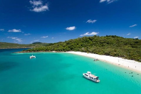 Whitehaven Beach And Hill Inlet | Awesome Beach BBQ | Family Friendly - Taree Accommodation 3