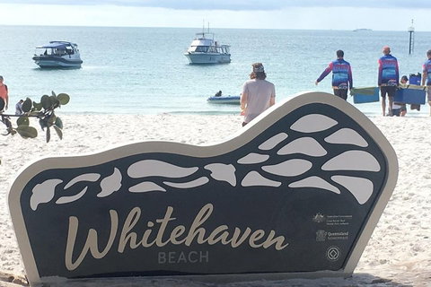 Whitehaven Beach And Hill Inlet | Awesome Beach BBQ | Family Friendly - Taree Accommodation 5