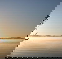 Serenity Cruise to Australia's Everglades - Taree Accommodation