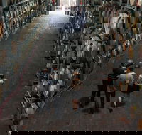 Wirra Wirra Vineyard McLaren Vale Winery Tour and Shiraz Masterclass - Taree Accommodation