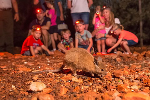 Alice Springs Desert Park Nocturnal Tour - Taree Accommodation 1