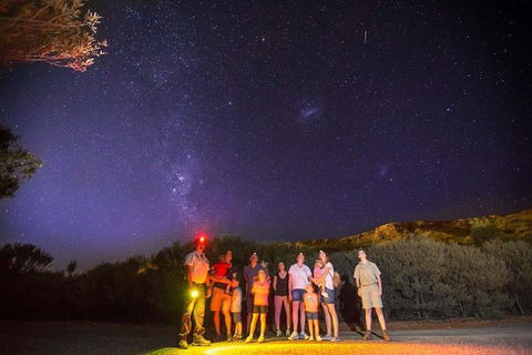 Alice Springs Desert Park Nocturnal Tour - Taree Accommodation 2