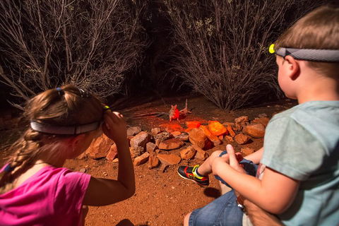 Alice Springs Desert Park Nocturnal Tour - Taree Accommodation 4