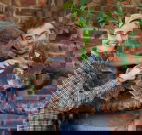 Private Tour Blue Mountains Day Trip from Sydney - Taree Accommodation