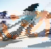 Whitehaven Beach and Daydream Island Cruise - Taree Accommodation