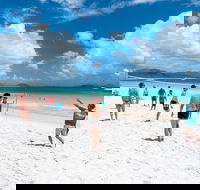 Whitehaven Beach and Hamilton Island Cruise - Taree Accommodation