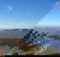 Blue Mountains Unique Small-Group Day Adventure with BBQ Lunch - Taree Accommodation