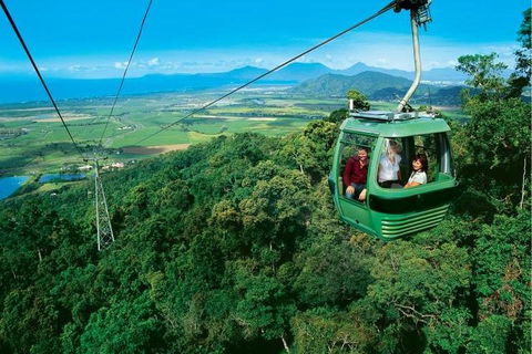Kuranda Rainforest Station, Scenic Railway And Skyrail Tour - Taree Accommodation 0
