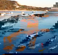 Adventure Moreton Island Wrecks Adventure Package - Taree Accommodation