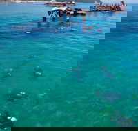 Adventure Moreton Island Scuba Dive Tour - Taree Accommodation