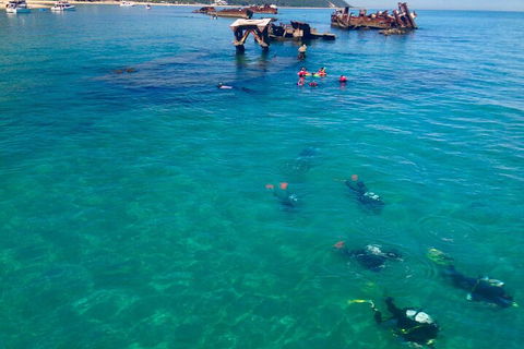 Adventure Moreton Island Scuba Dive Tour - Taree Accommodation 0