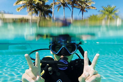 Adventure Moreton Island Scuba Dive Tour - Taree Accommodation 2