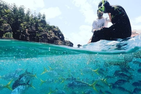 2 Night Small Group Whitsundays Sailing Adventure Aboard Mandrake - Taree Accommodation 5