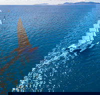 2-Night Whitsunday Islands Sailing Adventure on Trimaran Avatar - Taree Accommodation