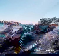 Wave Break Island Scuba Diving on the Gold Coast - Taree Accommodation