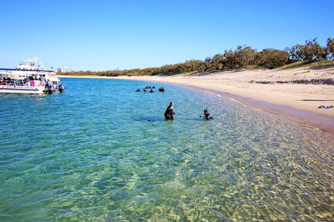 Wave Break Island Scuba Diving On The Gold Coast - Taree Accommodation 4