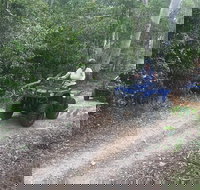 Cairns ATV Adventure Tour and Morning Train - Taree Accommodation