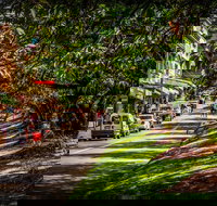 Fully Inclusive Blue Mountains Private Tour inc Scenic World  Featherdale entry - Taree Accommodation