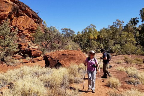 Palm Valley And Hermannsburg 1 Day 4WD Tour - Taree Accommodation 1