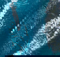 Cygnet Bay Explorer - Taree Accommodation