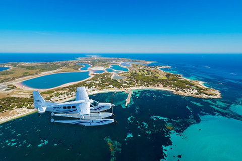 Full Day Tour By Seaplane To Rottnest Island Small Group Trip - Taree Accommodation 1