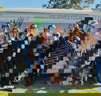 Full Day Mount Tamborine Winery Tour from Gold Coast - Taree Accommodation