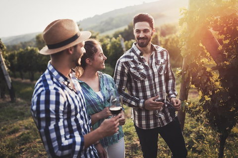 Full Day Mount Tamborine Winery Tour From Gold Coast - Taree Accommodation 5