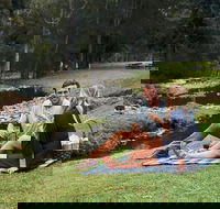 Mt Tamborine - Hinterland Wonders Self Guided - Taree Accommodation