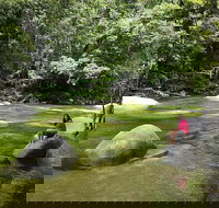 Daintree Dreaming Traditional Aboriginal Fishing from Cairns or Port Douglas - Taree Accommodation