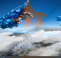 Reef and Rainforest Tandem Sky Dive in Cairns - Taree Accommodation