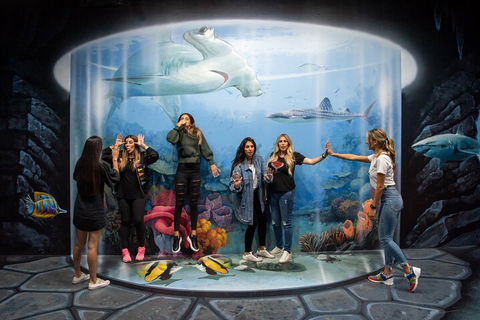 ArtVo Immersive Gallery Experience - Taree Accommodation 2