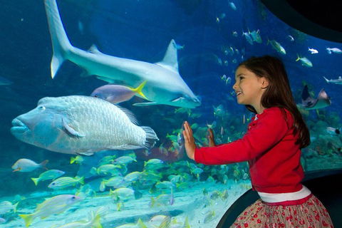 SEA LIFE Melbourne Aquarium Admission Ticket - Taree Accommodation 1