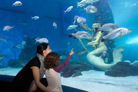 SEA LIFE Melbourne Aquarium Admission Ticket - Taree Accommodation 4