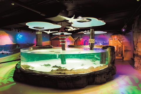 SEA LIFE Melbourne Aquarium Admission Ticket - Taree Accommodation 5