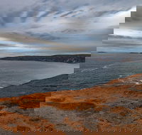 Kangaroo Island Luxury Small Group 'Flinders Chase Focus' Full Day Tour - Taree Accommodation