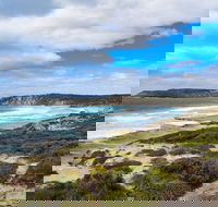 Kangaroo Island Luxury Small Group 'East End Explorer' Full Day Tour - Taree Accommodation