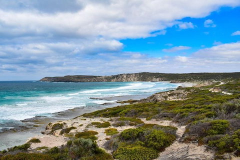 Kangaroo Island Luxury Small Group 'East End Explorer' Full Day Tour - Taree Accommodation 0