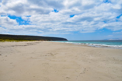 Kangaroo Island Luxury Small Group 'East End Explorer' Full Day Tour - Taree Accommodation 3