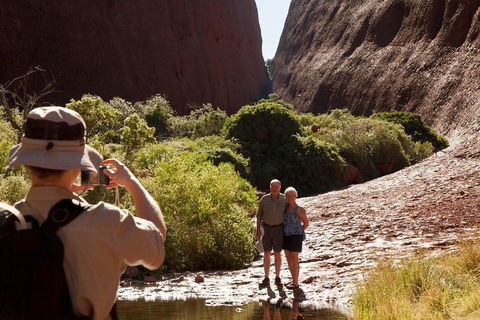 Afternoon Kata Tjuta Small Group Tour - Taree Accommodation 3