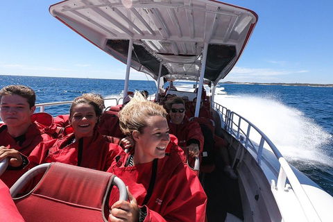 Adventure Rottnest Tour With Ferry & Adventure Cruise From Perth Or Fremantle - Taree Accommodation 0