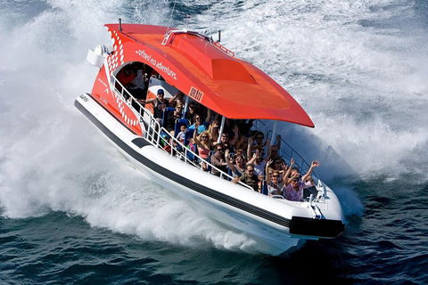 Adventure Rottnest Tour With Ferry & Adventure Cruise From Perth Or Fremantle - Taree Accommodation 2